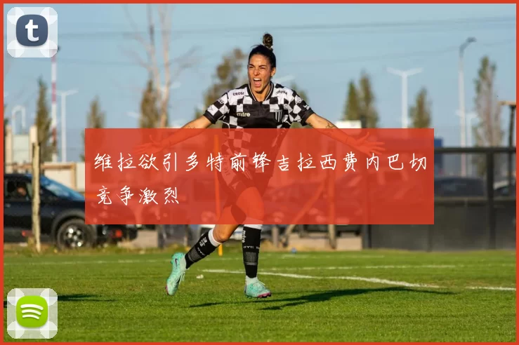 维拉欲引多特前锋吉拉西费内巴切竞争激烈
