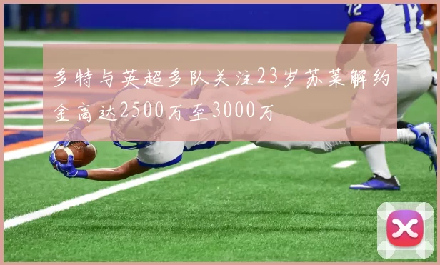 多特与英超多队关注23岁苏莱解约金高达2500万至3000万